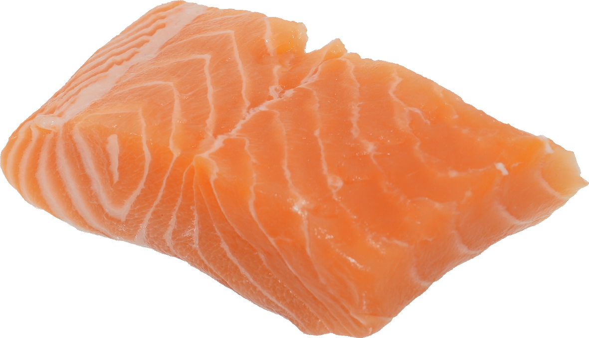 salmon